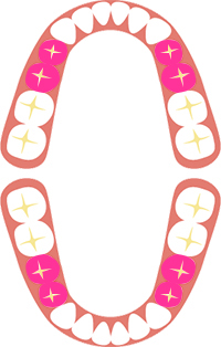 健康保険が適用される部位はこちら