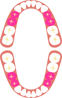 健康保険が適用される部位はこちら